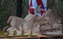 Cum se desfasoara un maraton de pescuit la salau? 